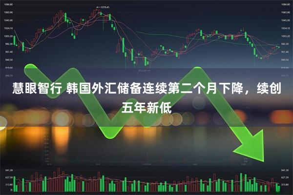慧眼智行 韩国外汇储备连续第二个月下降，续创五年新低
