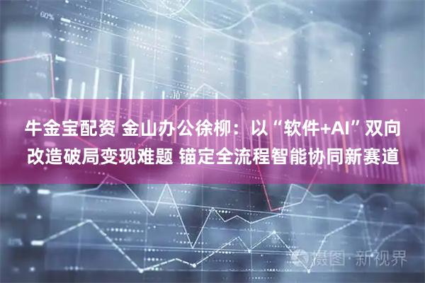 牛金宝配资 金山办公徐柳：以“软件+AI”双向改造破局变现难题 锚定全流程智能协同新赛道