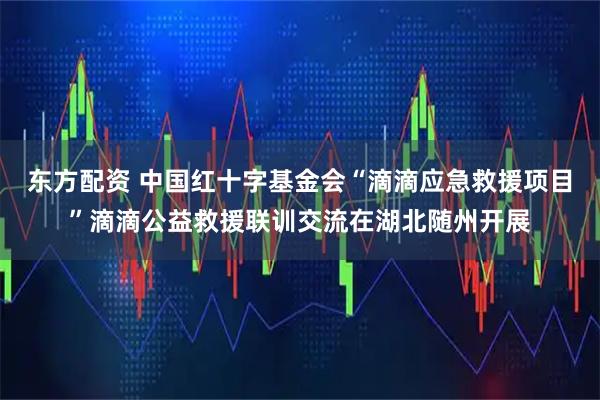 东方配资 中国红十字基金会“滴滴应急救援项目”滴滴公益救援联训交流在湖北随州开展