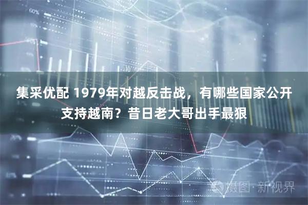 集采优配 1979年对越反击战,有哪些国家公开支持越南?昔日老大哥出手最狠